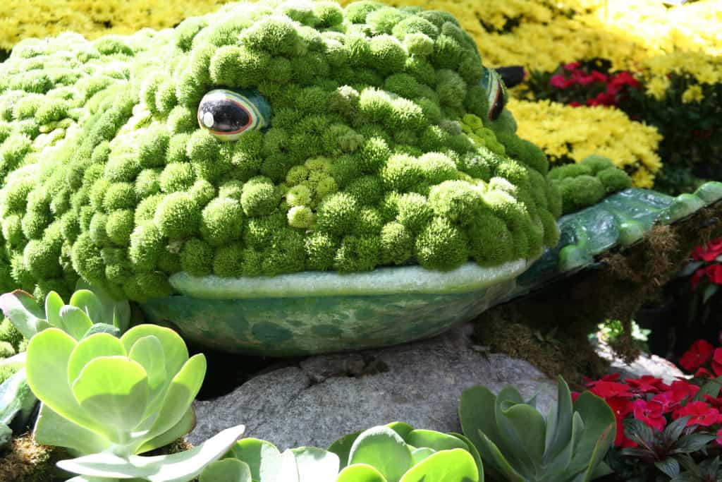 Container garden shaped like a frog, found in The Kid-Gardener's Planting Book for Parents